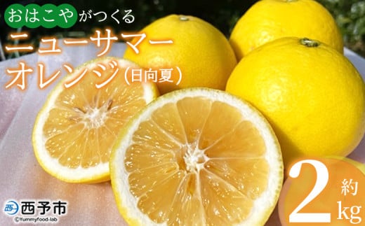 ＜おはこやがつくる ニューサマーオレンジ 約2kg（L～3Lサイズ）＞ 果物 フルーツ 柑橘 ミカン 蜜柑 日向夏 小夏 特産品 西宇和 愛媛県 西予市 【常温】