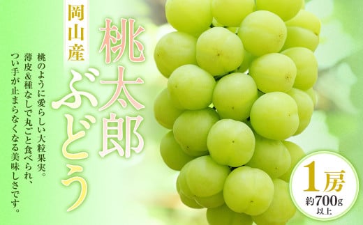 桃太郎ぶどう 1房（700g以上） 化粧箱入り【2025年7月下旬～9月上旬迄発送予定】 葡萄 ブドウ ぶどう フルーツ 果物 ギフト 国産 岡山県産 1985575 - 岡山県奈義町
