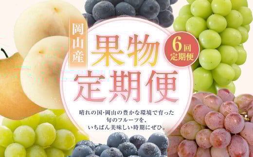 【6回定期便】 白桃 マスカットオブアレキサンドリア  桃太郎ぶどう ニューピオーネ 晴王 紫苑 あたご梨 【2025年7月上旬より順次発送開始】 桃 もも 葡萄 ブドウ ぶどう なし フルーツ 果物 ギフト 国産 岡山県産