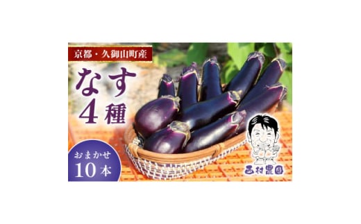 なす4種類おまかせ10本!(水なす・フルーツなす・千両なす・ふわとろ長なす)【1613688】