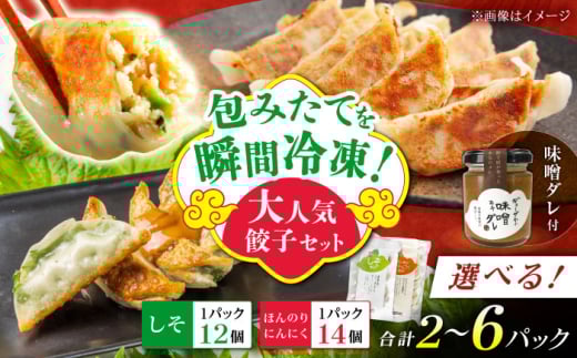 【選べるパック数！】餃子屋ヒロの大人気餃子セット＋特製味噌ダレ付【餃子屋ヒロ】開成町 餃子 点心 惣菜 冷凍 [BDAS009]