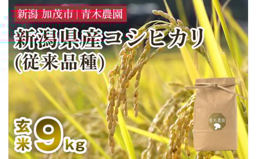 【令和7年産新米先行予約】新潟県産 コシヒカリ（従来品種）玄米9kg（3kg×3袋）《10月上旬から順次発送》 玄米 白米 きのこ農家ならではの有機質肥料 お米 新潟産 コシヒカリ 加茂市 青木農園