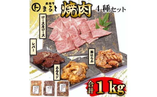 ＜飛騨牛＞焼肉4種セットA-2　ロース・肩ロースと味付けホルモンなど　合計1kg【1619780】
