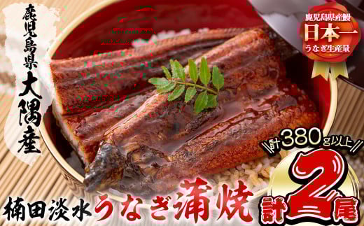 楠田の極うなぎ蒲焼き190g以上×2尾(計380g以上) 山椒付たれ 鰻 ウナギ 蒲焼 うな重 ひつまぶし 鹿児島 冷凍 おかず お祝い a7-021-us