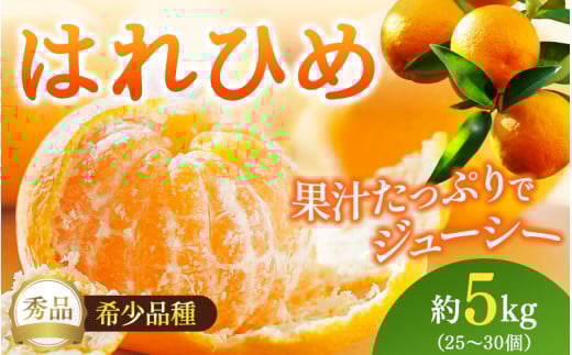 【先行予約】希少種みかん はれひめ 約5kg(25個～30個) 秀品 2025年12月中旬～2026年2月初旬頃に順次発送予定（お届け日指定不可）/ 和歌山 みかん はれひめ フルーツ 柑橘 蜜柑 果物 くだもの【kgr004A】 1326977 - 和歌山県串本町