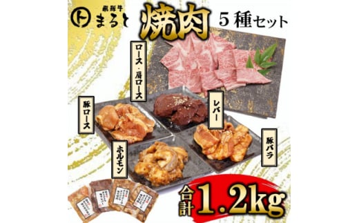 ＜飛騨牛＞焼肉5種セットA-5　ロース・肩ロースと味付けホルモンなど　合計1.2kg【1619901】