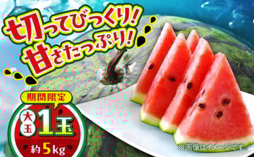 【数量限定】大玉すいか　1玉入り　約5kg【日本フルーツ株式会社】 [AYDA003]