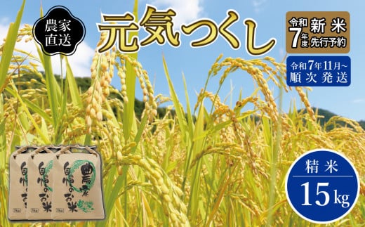 【先行予約】【2025年11月より順次発送】《令和７年産 》福岡県産 ブランド 米「 元気つくし 」 5kg×3個　計15kg