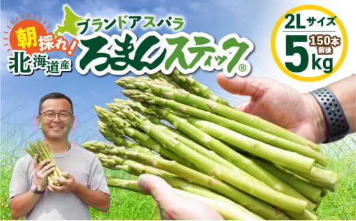 ロマンス農園 ろまんスティック 2Lサイズ 5kg　T049-007