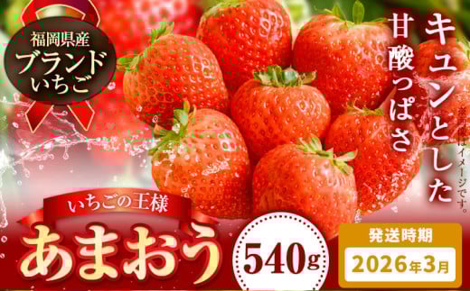 いちご あまおう 先行予約 いちご 大量 540g 選べる発送時期 定期便 フルーツ《2026年3月上旬-3月中旬頃出荷》苺 旬 くだもの 果物 福岡県 小竹町 1403154 - 福岡県小竹町