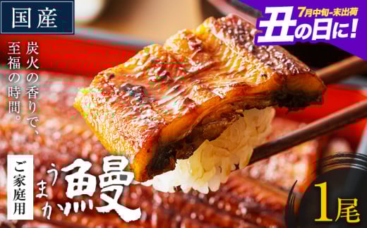 うなぎ ご家庭用 1尾 国産 ランキング 獲得 鰻 真空パック おすすめ うなぎの蒲焼 [丑の日に!7月中旬〜7月末出荷] 有頭 ふるさとのうぜい 鶏炭火焼 訳あり 簡易包装 不揃い ウナギ unagi 蒲焼 秋 冬 旬 配送時期 冷凍