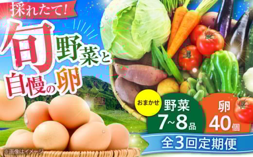 【全3回定期便】【限定数量】新鮮たまごと旬の野菜セット(野菜7~8品程度＋40個) / たまご 生卵 タマゴ 詰合せ セット 熊本県 特産品【有限会社さんふれあ】 [BHAK009]
