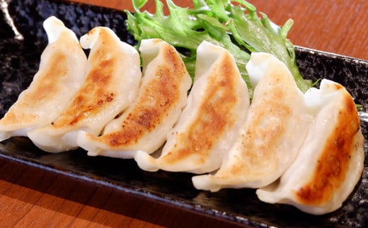 熊本和牛 あか牛ぎょうざ 60個（あか牛ぎょうざ20個入り×3箱） 餃子 和牛 国産 九州産 惣菜 冷凍 熊本県 湯前町