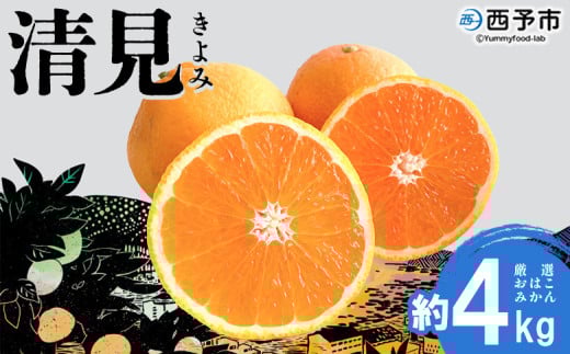 ＜おはこやがつくる 清見 約4kg（L～3Lサイズ）＞ 果物 フルーツ 柑橘 清見タンゴール みかん 特産品 西宇和 愛媛県 西予市 【常温】 658079 - 愛媛県西予市