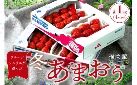 フルーツソムリエが選んだ福岡産【冬】あまおう4パック【011-0072】