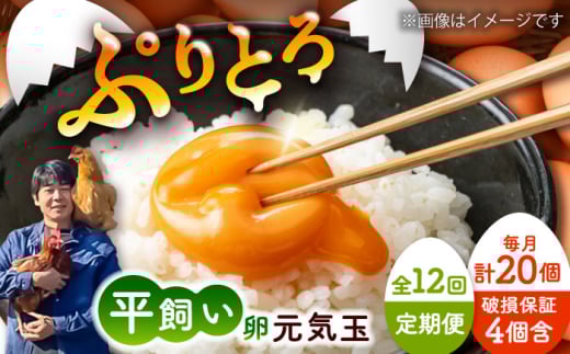 【全12回定期便】平飼い新鮮たまご　元気玉 計20個(10個×2パック) / 卵 ぷりぷり 新鮮 玉子 オムレツ たまごかけごはん 朝食 鶏卵 平飼い 濃厚 こく 熊本県 菊陽町【ぴよっこファーム】 [BHAP005]
