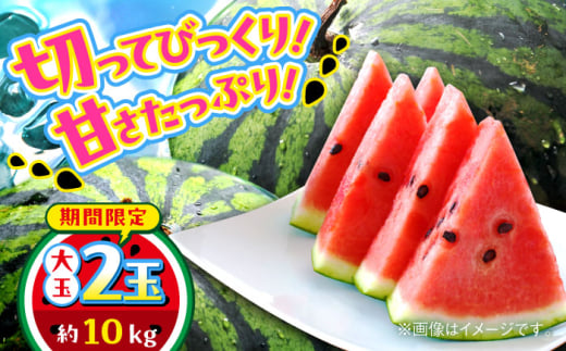 【数量限定】大玉すいか　2玉入り　約10kg【日本フルーツ株式会社】 [AYDA004]