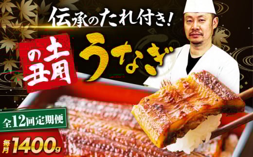 【全12回定期便】 うなぎ 蒲焼き 冷蔵 真空パック 10尾セット（2尾×5箱）　愛媛県大洲市/有限会社 樽井旅館 鰻 うなぎ ひつまぶし 土用の丑の日 ウナギ [AGAH027]
