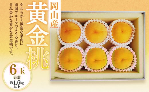 黄金桃 6玉（合計1.6kg以上） 化粧箱入り 【2025年8月下旬～9月上旬迄発送予定】 黄金 モモ もも 桃 フルーツ 果物 国産