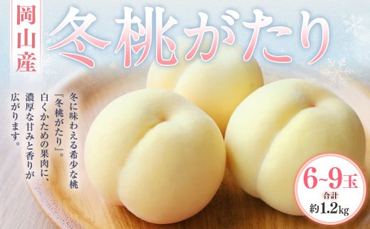 冬桃がたり 6～9玉（合計約1.2kg） 化粧箱入り 【2025年11月下旬～12月下旬迄発送予定】 モモ もも 桃 フルーツ 果物 ギフト 国産 岡山県産