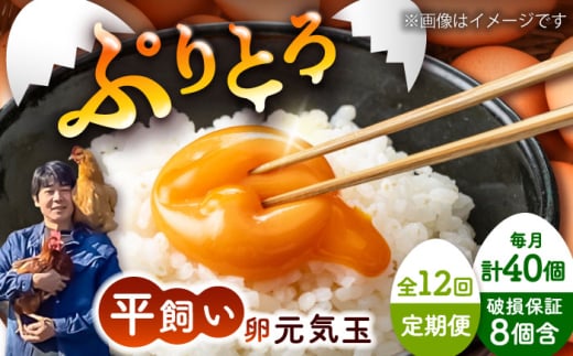 【全12回定期便】平飼い新鮮たまご 元気玉 計40個(10個×4パック) / 卵 ぷりぷり 新鮮 玉子 オムレツ たまごかけごはん 朝食 鶏卵 平飼い 濃厚 こく 熊本県 菊陽町【ぴよっこファーム】 [BHAP008]