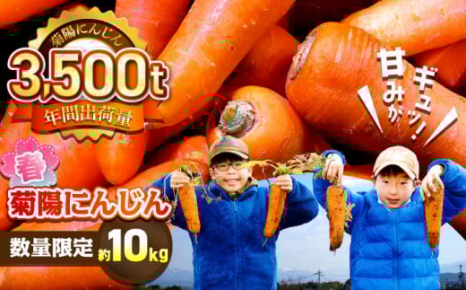 【4月中旬より順次発送予定】【限定数量】菊陽町の春にんじん 約10kg【有限会社さんふれあ】 [BHAK004]