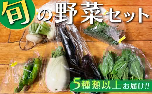 旬の野菜セット 5種類以上お届け｜季節の野菜 詰合せ 塩谷町 栃木県 有機野菜 オーガニック ※2025年5月上旬～12月下旬頃に発送予定　※北海道・沖縄・離島への配送不可