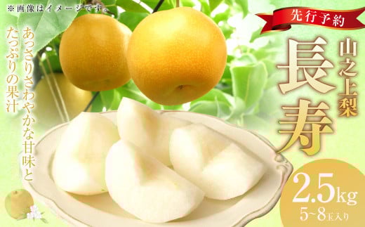 《先行予約》｢丸坂山田農園｣山之上梨 長寿 1箱 （約2.5kg／5～8玉）【2025年7月下旬～8月上旬 発送予定】│フルーツ なし 梨 果物 岐阜県 美濃加茂市