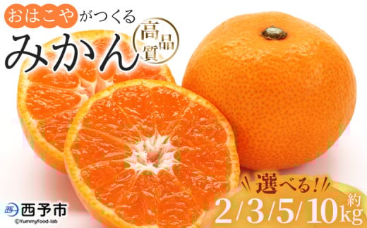 [おはこやがつくる 高品質みかん 約2kg/3kg/5kg/10kg(S〜Lサイズ)] 果物 くだもの フルーツ 柑橘 みかん ミカン 蜜柑 まろやか 絶妙 特産品 西宇和 愛媛県 西予市