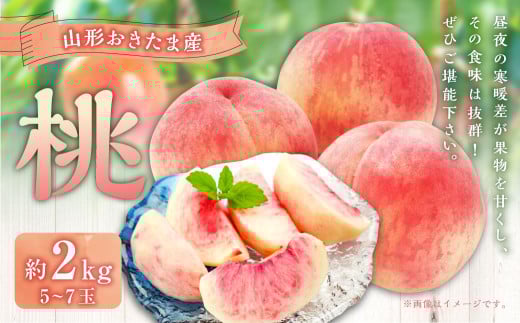 山形おきたま産もも（川中島白桃・まどかなど）5玉～7玉 （約2kg） もも 桃 フルーツ 果物 果実 冷蔵 山形県 白鷹町 【2025年8月下旬～9月上旬順次発送予定】