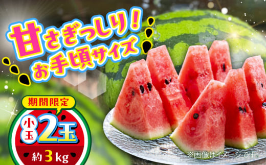 【数量限定】小玉すいか　2玉入り　約3kg【日本フルーツ株式会社】 [AYDA002] 2101902 - 熊本県合志市