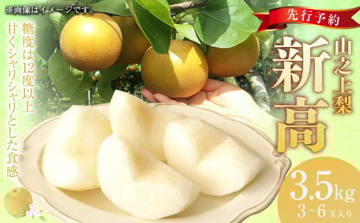 《先行予約》｢丸坂山田農園｣ 山之上梨 新高 1箱 （約3.5kg／3～6玉）【2025年9月上旬-9月下旬 発送予定】│ 梨  果物 フルーツ 冷蔵 岐阜県産 国産 岐阜県 美濃加茂市