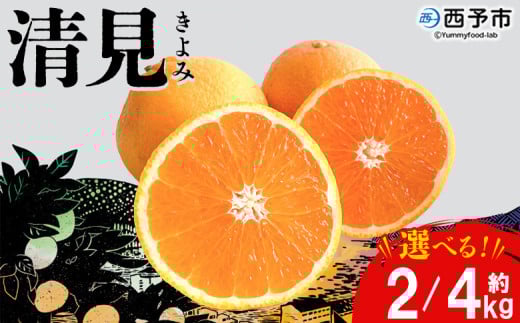 [おはこやがつくる 清見 約2/4kg(L〜3Lサイズ)] 果物 くだもの フルーツ 柑橘 きよみ キヨミ きよみたんごーる 清見タンゴール 蜜柑 ミカン みかん 特産品 西宇和 おはこや 愛媛県 西予市 [常温]