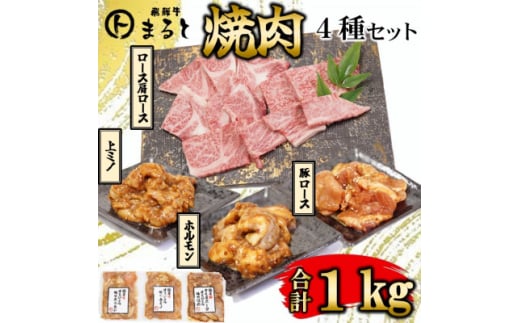 ＜飛騨牛＞焼肉4種セットA-3　ロース・肩ロースと味付けホルモンなど　合計1kg【1619896】