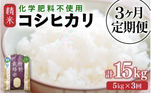 【先行予約】【令和7年産】定期便 ≪3ヶ月連続お届け≫ 化学肥料不使用 特別栽培米 コシヒカリ 精米 5kg × 3回（合計15kg） / 白米 米 福井県あわら市産 美味しい 特別栽培米 減農薬 安心な米 旨味 甘み もっちり 冷蔵保管米 ※2025年10月上旬より順次発送 [aw010-c002]