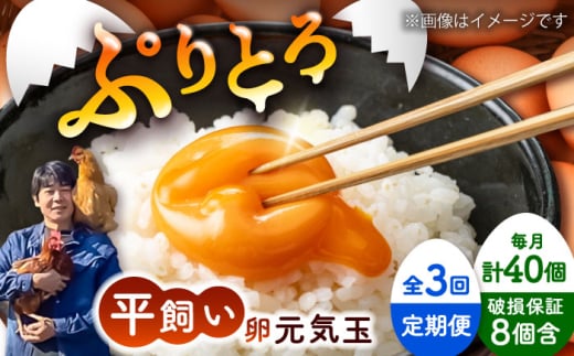 【全3回定期便】平飼い新鮮たまご 元気玉 計40個(10個×4パック) / 卵 ぷりぷり 新鮮 玉子 オムレツ たまごかけごはん 朝食 鶏卵 平飼い 濃厚 こく 熊本県 菊陽町【ぴよっこファーム】 [BHAP006]