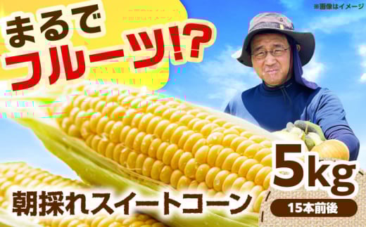 【6月頃発送予定】朝採れとうもろこし スイートコーン 5kg/15本前後 高槻市産 とうもろこし トウモロコシ コーン 甘い 野菜 新鮮 大阪府高槻市/高槻あぐり [AOCS028]