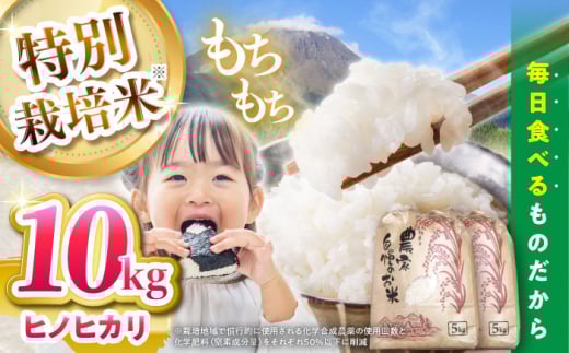 【特別栽培米】 ヒノヒカリ 10kg (5kg×2袋) / 米 精米 白米 ごはん ご飯 ひのひかり / 南島原市 / 農家民宿　いちご一会 [SBN002]