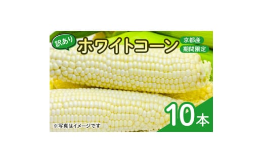 ＜訳あり＞京都府産 白い とうもろこし　ホワイトコーン 10本 (個包装)【1618532】