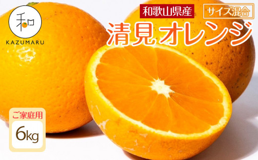 家庭用 森本農園の手選別 清見オレンジ 6kg 和歌山県産 サイズ混合 ［北海道・沖縄・離島配送不可］［RN38］［2026年2月上旬から5月中旬頃順次発送予定］ 1448618 - 和歌山県高野町