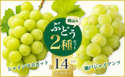 岡山県産シャインマスカット&瀬戸ジャイアンツ 約1.4kg 1336025 - 岡山県備前市