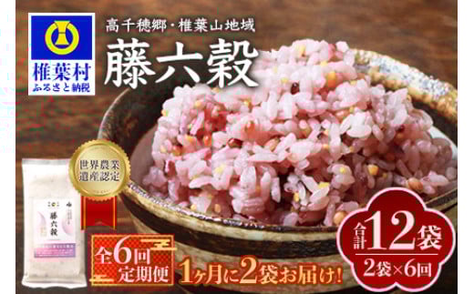 【6回定期便】【雑穀米】藤の花色に染まる美しい六穀米《藤六穀》300g×2袋 6回配送【世界農業遺産 高千穂郷・椎葉山地域】送料無料 定期便 定期 保存食 非常食 米 お米 ご飯 ご当地 贈り物 手土産 お土産 挨拶 祝い ギフト 父 母 栄養 健康 うるち米 たかきび 挽割とうもろこし もちあわ もち麦 黒米【TT-15】