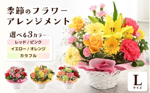 選べるカラー 季節のフラワーアレンジメント L (イエロー・オレンジ) （母の日遅れてごめんね） 【お花 フラワー アレジメント 花束 ギフト 生花 プレゼント 花束 花 記念日 お祝い】 [B-20701_02] 