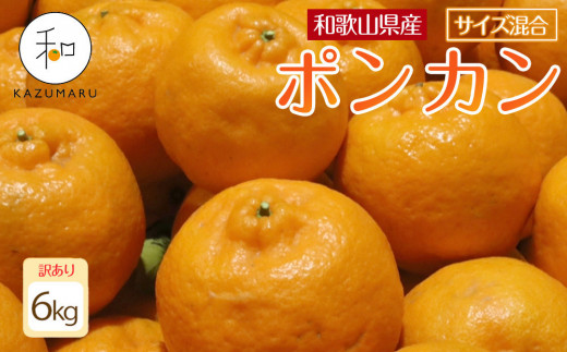 訳あり 森本農園の手選別 ポンカン 6kg 和歌山県産 サイズ混合 ［北海道・沖縄・離島配送不可］［RN14］［2026年1月上旬から順次発送］ 1448599 - 和歌山県高野町