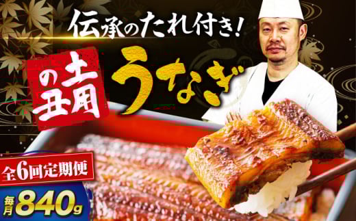 【全6回定期便】 うなぎ 蒲焼き 冷蔵 真空パック 6尾セット（2尾×3箱）　愛媛県大洲市/有限会社 樽井旅館 鰻 うなぎ ひつまぶし 土用の丑の日 ウナギ [AGAH022]