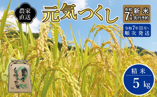 【先行予約】【2025年11月より順次発送】《令和７年産 》福岡県産 ブランド 米「 元気つくし 」 5kg 2101698 - 福岡県大川市