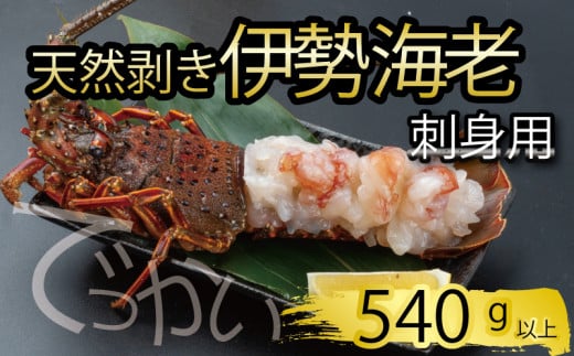 でっかい天然伊勢海老  刺身用 540g以上 冷凍 ( 特大サイズ 急速冷凍 えび エビ 高級 鮮魚 海鮮 魚介 刺身 焼き物 汁物 ギフト 贈答 贈り物 祝い 歳暮 中元 年末 年始 早期 予約 ) IKY098 2103737 - 高知県須崎市