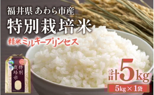 【先行予約】【令和7年産】化学肥料不使用 特別栽培米 ミルキープリンセス 精米 5kg / 白米 米 福井県あわら市産 美味しい 特別栽培米 減農薬 安心な米 旨味 甘み もっちり 冷蔵保管米 ※2025年10月上旬より順次発送 [aw010-a012]