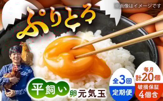 【全3回定期便】平飼い新鮮たまご　元気玉 計20個(10個×2パック) / 卵 ぷりぷり 新鮮 玉子 オムレツ たまごかけごはん 朝食 鶏卵 平飼い 濃厚 こく 熊本県 菊陽町【ぴよっこファーム】 [BHAP003]