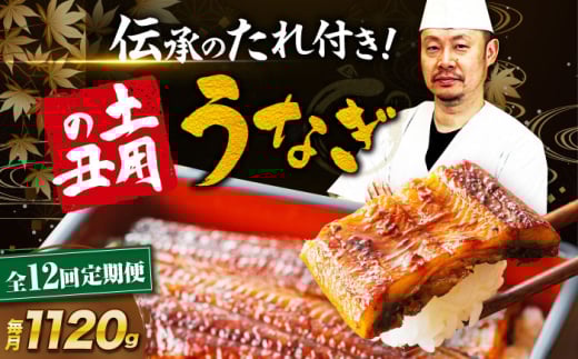 【全12回定期便】 うなぎ 蒲焼き 冷蔵 真空パック 8尾（2尾×4箱）愛媛県大洲市/有限会社 樽井旅館 鰻 うなぎ ひつまぶし 土用の丑の日 ウナギ [AGAH025]
